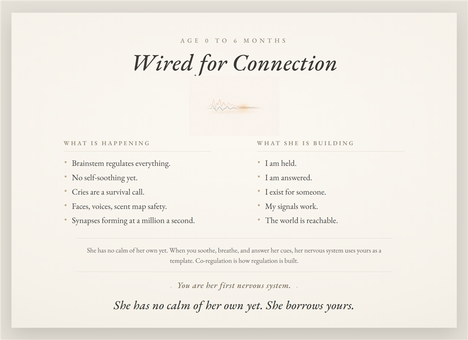 Poster 01 — Wired for Connection, age 0 to 6 months