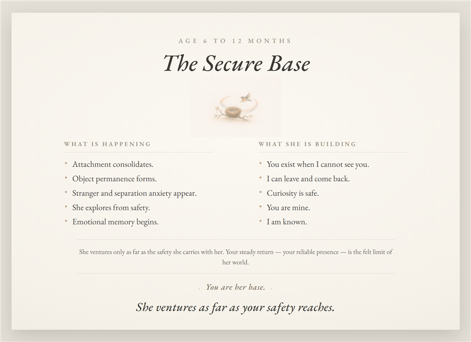 Poster 02 — The Secure Base, age 6 to 12 months